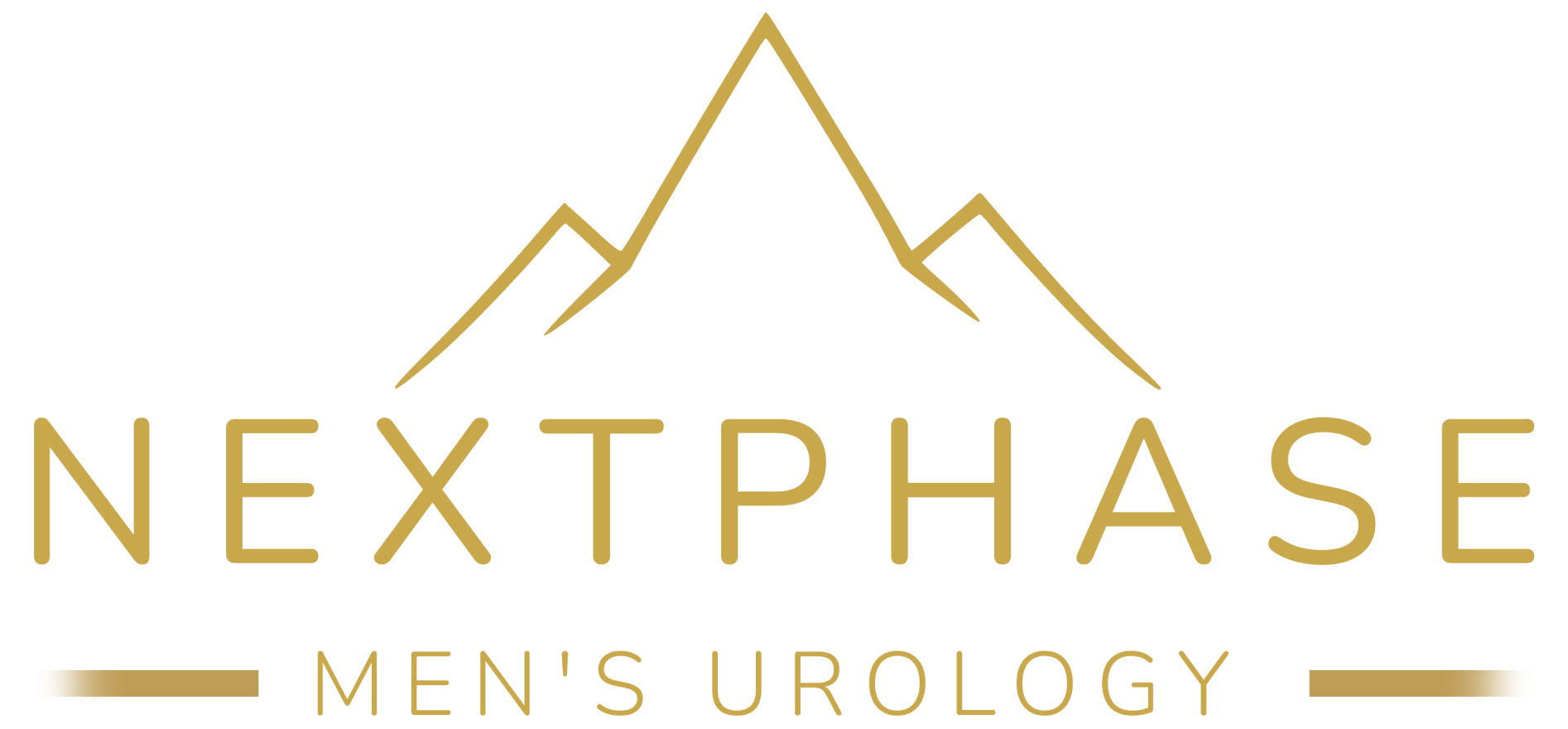 Nextphase-Logo